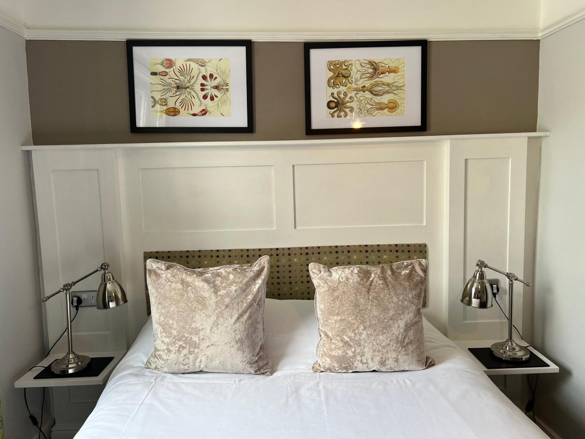 White Horse Bed & Breakfast มัลดอน ภายนอก รูปภาพ