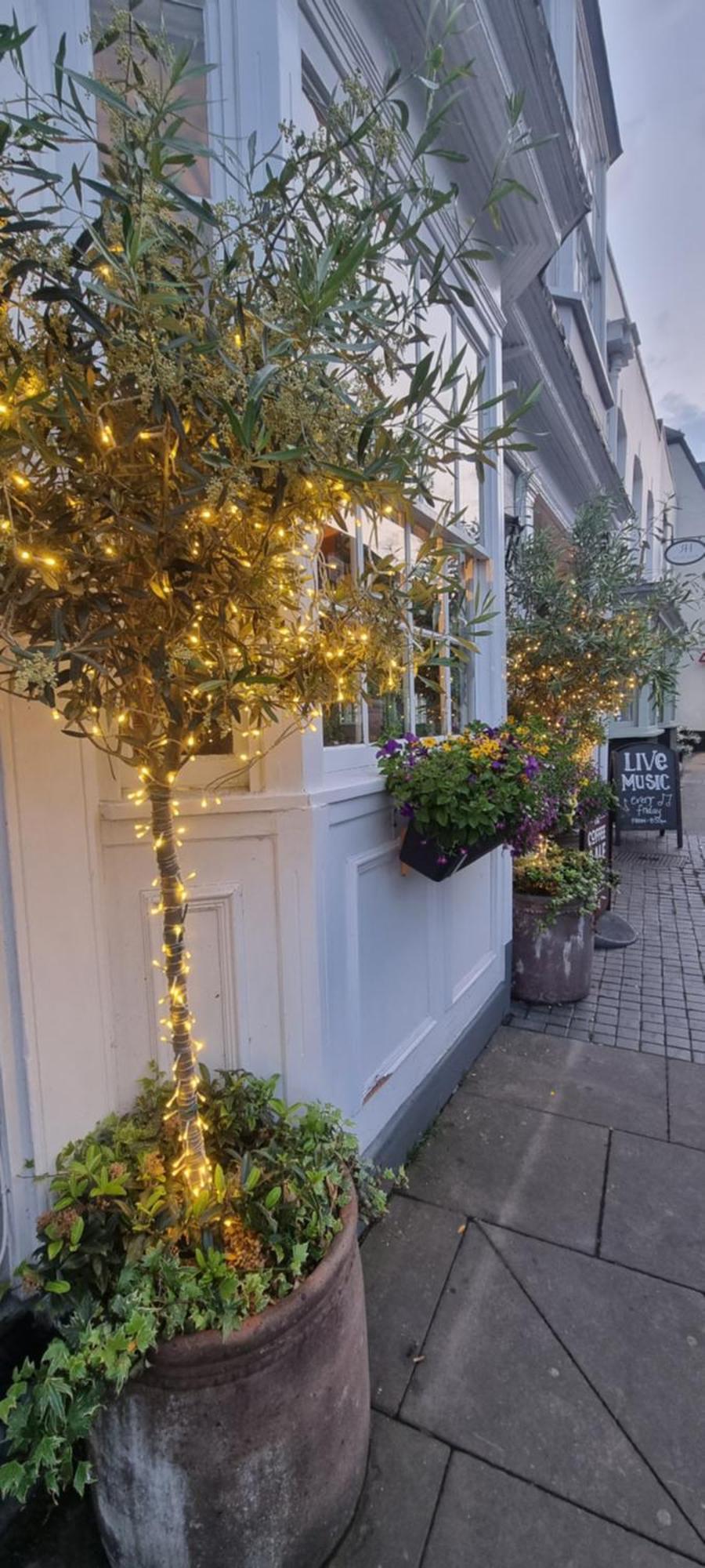 White Horse Bed & Breakfast มัลดอน ภายนอก รูปภาพ