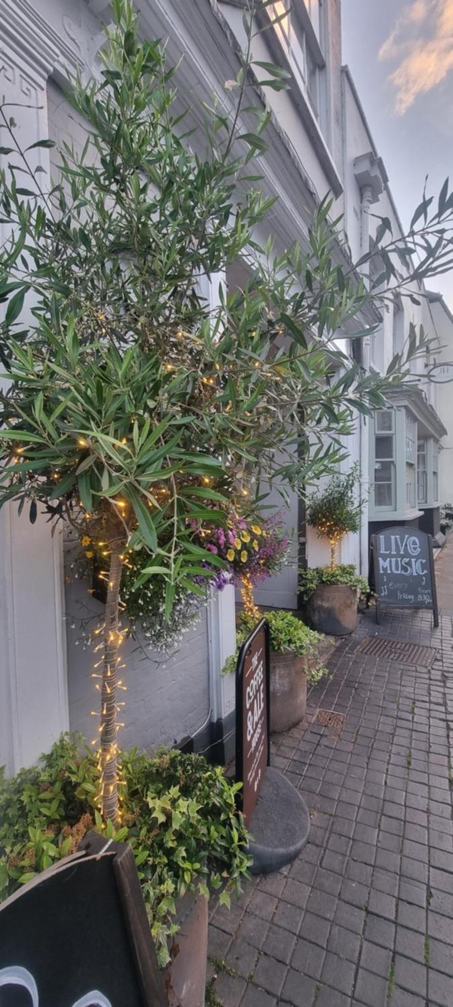 White Horse Bed & Breakfast มัลดอน ภายนอก รูปภาพ